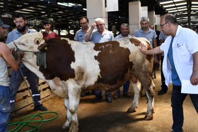 Osmangazi Belediyesi Kurban Bayramı Hazırlıklarını Tamamladı