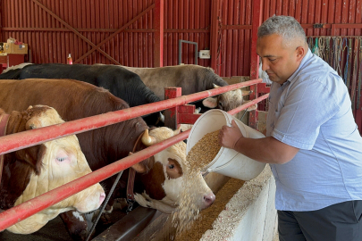 ''Uzman Eller Projesinden'' Yararlandı Hayvan Sayısı 15'ken 75 oldu