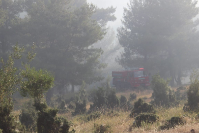 Çanakkale Bayramiçte Yangına Havadan Ve Karadan Müdahale