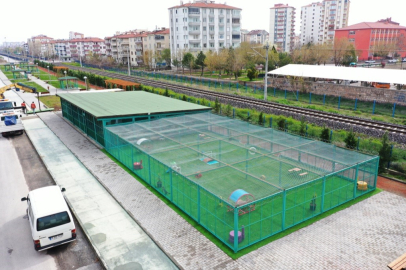 Bu kasabada kediler otel konforunda yaşıyor