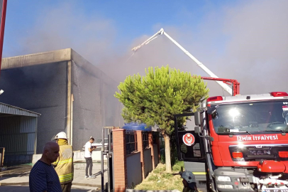 İzmir Büyükşehir Belediyesi Orman Yangınlarına Karşı Önlemlerini Artırdı