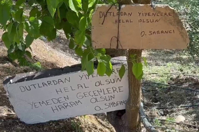 O Ağaçtan Dut Yememek Haram