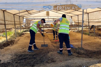 Sultanbeyli’de Kurban Satış Alanları Temizleniyor: İlaçlama ve Kireçleme İşlemleri Devam Ediyor