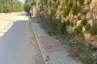 Otlarla Kaplı Kaldırımlar Bayburt Belediyesi'nin İnsafına Bırakıldı