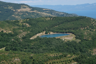 İznik Gölü Çiftçinin Yüzünü Güldürdü