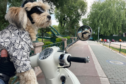 Motosiklet tutkunu 'Papi' herkesin ilgi odağı oldu