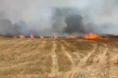 Büyükorhanda Çıkan Anız Yangını Yürekleri Ağza Getirdi