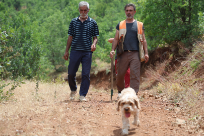 Şehir şehir gezerek köpeğiyle ‘kara elmas' arıyor