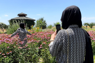 Tıbbi Aromatik Bitkiler ve Geofit Bahçesi: Gezi ve Fotoğraf Günleri Başladı