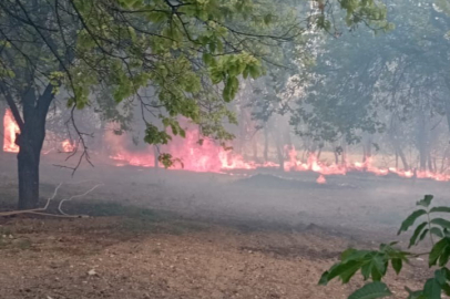 Elazığ'da Korkutan Dakikalar!