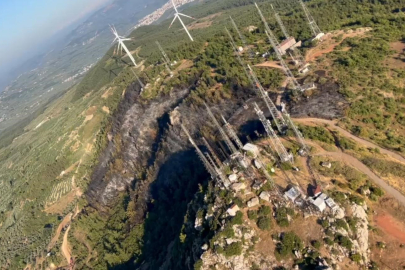 Bursa'daki Yangının Ardından Üzen Görüntü!