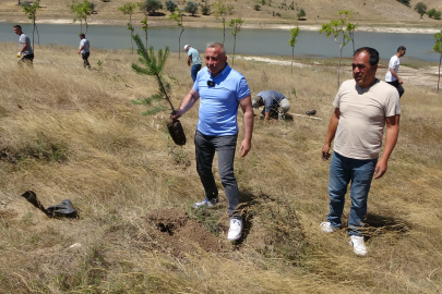 Gurbetçiler yüzlerce fidan dikti!