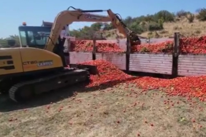 Bursa’da bir üretici 30 ton domatesi döktü!