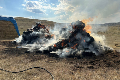 Erzurum'da Balyalar Yandı