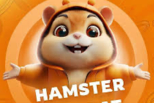 Hamster Kombat Günlük Şifre 23 Ağustos 2024