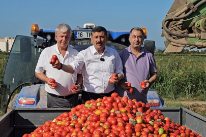 İYİ Partili Türkoğlu’ndan iktidara domates tepkisi!