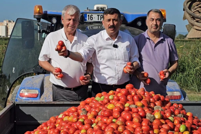 Selçuk Türkoğlu, Karacabey'de çiftçiyle birlikte isyan etti!