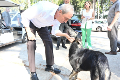 'Köpek yakıldı' iddialarına cevap