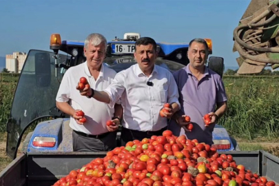 Selçuk Türkoğlu: ''Çiftçinin günahı da, vebali de size!''