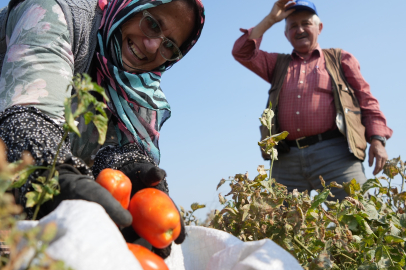 Ticaret Bakanlığı'ndan Salça Üreticisine Destek