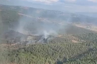 Bursa'da Ormanlık Alandaki Yangın Söndürüldü