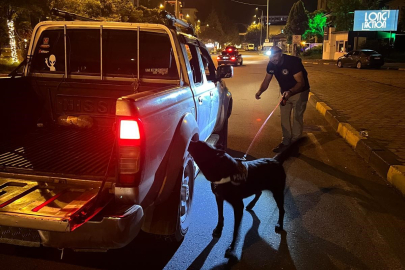 Hassas Burunlu Köpek Zehir Tacirlerine Geçit Vermiyor