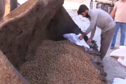 Sınır kapısında 79 ton bozuk ceviz içi ele geçirildi