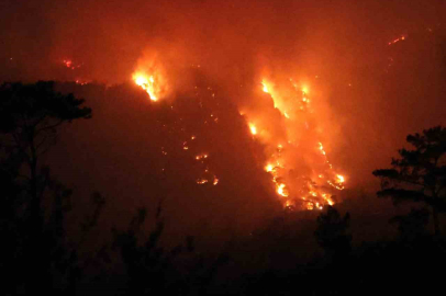 Muğla'da Korkutan Orman Yangını