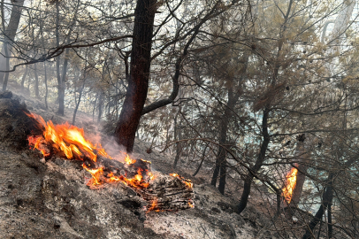 Muğla'da Yangına Havadan Karadan Müdahale