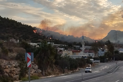 Mersin'de Yangın Seralara Sıçramadan Söndürüldü