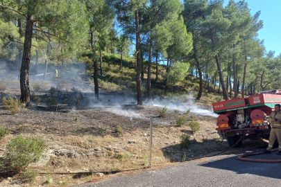 Mersin'de vadide çıkan orman yangını, büyümeden söndürüldü