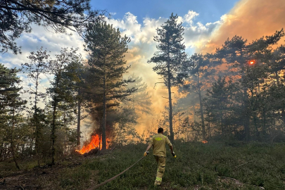 Bursa'da Korkutan Yangın