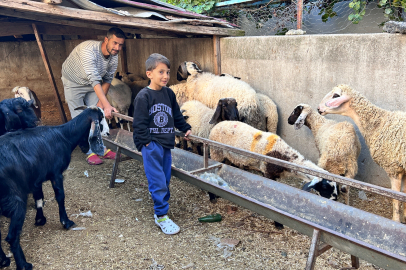 Depremzede Çalınan Koyunlarına Kavuştu