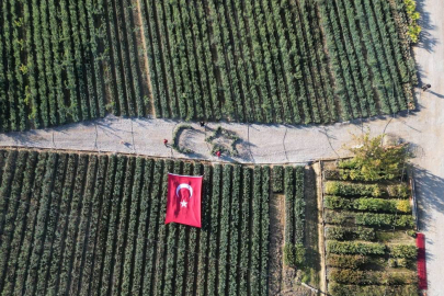 Bursa'nın İznik İlçesinde Bir Fidancı Dev Türk Bayrağı Açtı