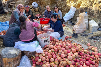 Adana'da Nar Ekşisi Zamanı