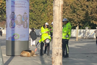 Dolmabahçe'de trafik polisleri içimizi ısıttı!