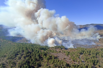 Bursa'da Korkutan Orman Yangını