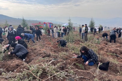 Ağaçlandırma Günü'nde Yenişehir'de seferberlik!