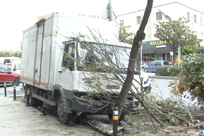 Freni Boşalan Kamyon İki Ağacı Devirerek Durabildi