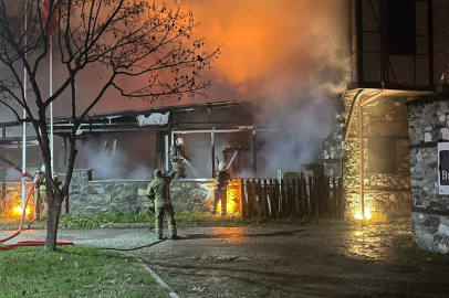 Bursa'da Korkutan Yangın