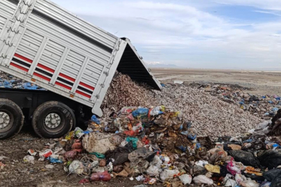 Tır Dolusu Tonlarca Kokmuş Balık Ele Geçirildi