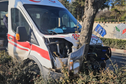 Bilecik'te Hasta Sevk Eden Ambulans Yoldan Çıkıp Ağaca Çarparak Durabildi